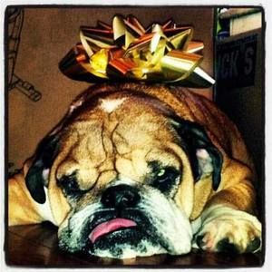 Meet your Posher, Chris